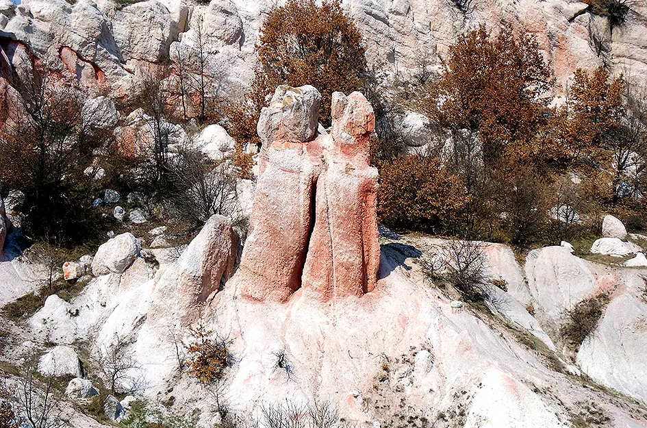 Каменните гъби