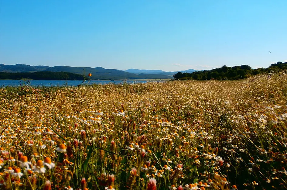 Село Николово и язовир Тракиец