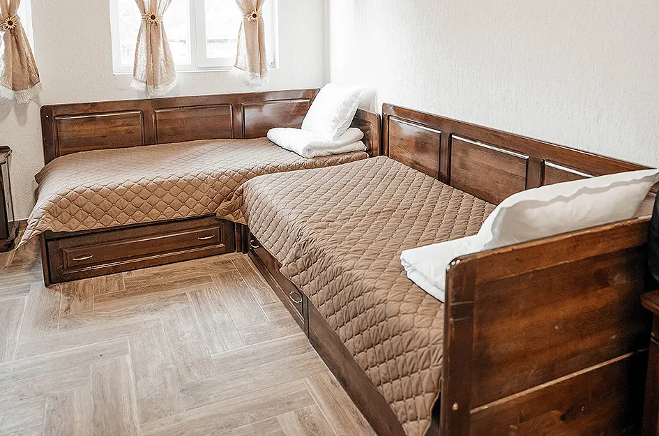 Двойни стаи